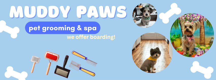 Erica Bethea Crittenden