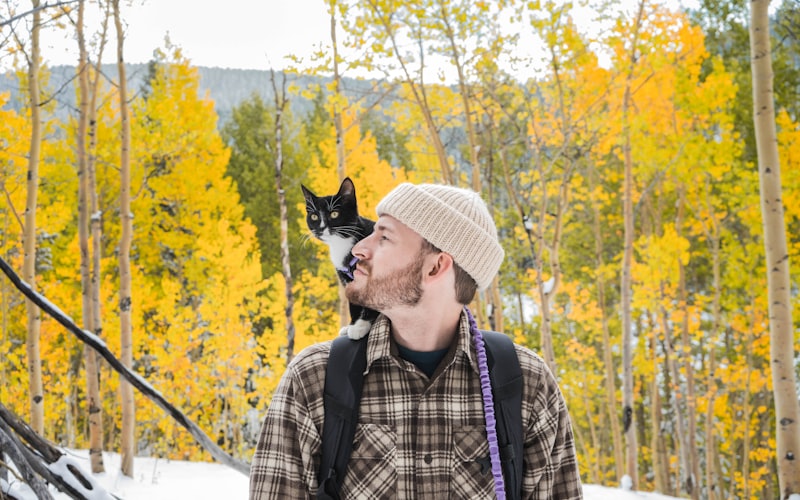 Choosing the Right Dog Boarding Facility: What to Look For